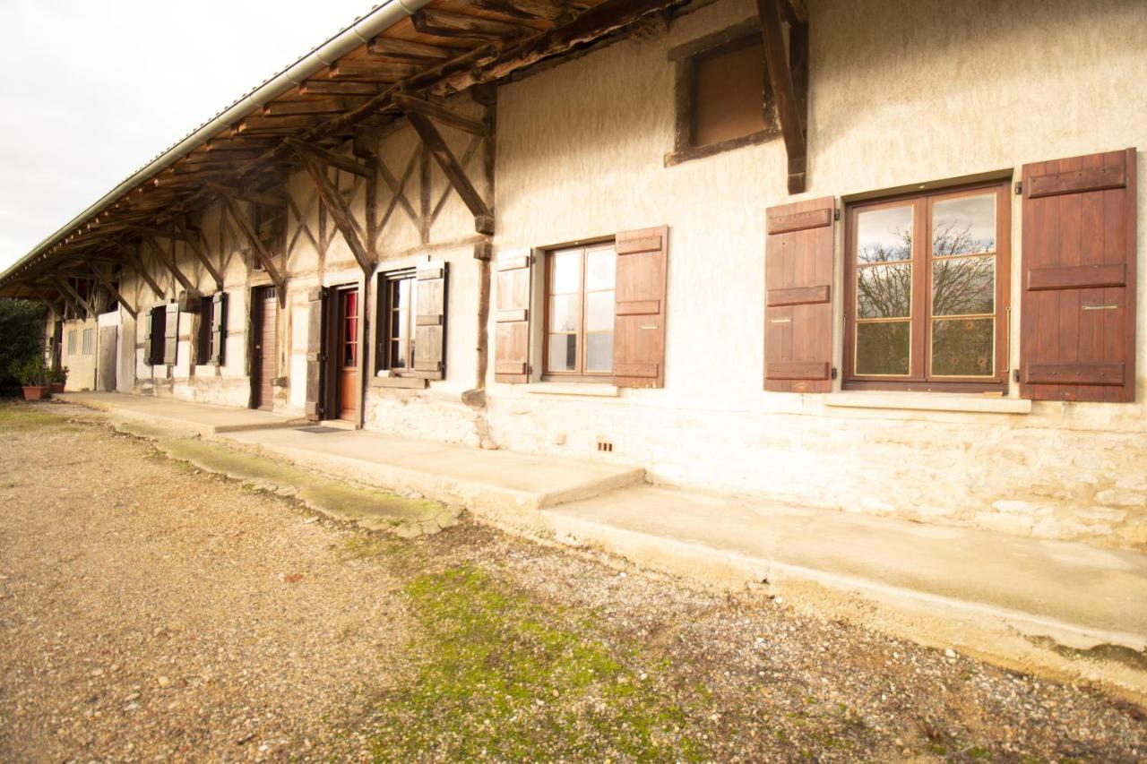 Ferme Bressane - 4 Chambres Saint-Etienne-du-Bois  Esterno foto